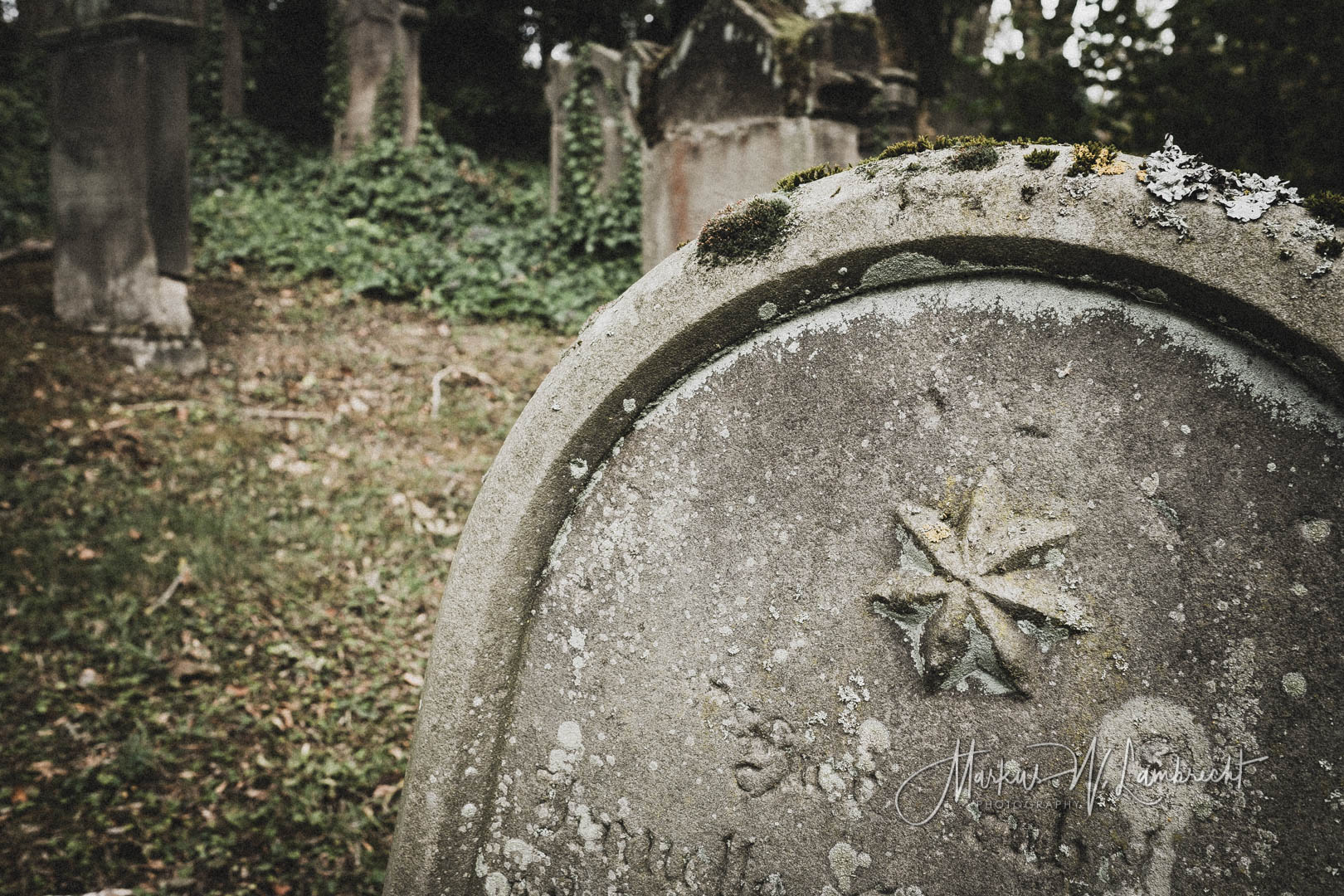 Rimbeck, Jüdischer Friedhof